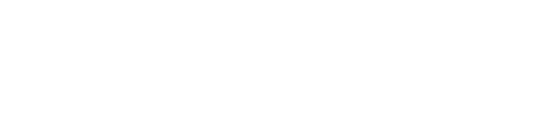 wealthbulls logo